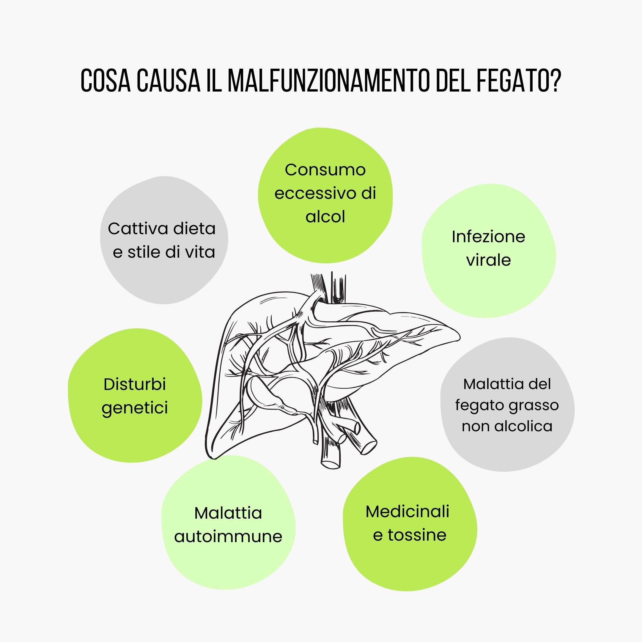 (Italština) Co způsobuje špatné fungování jater